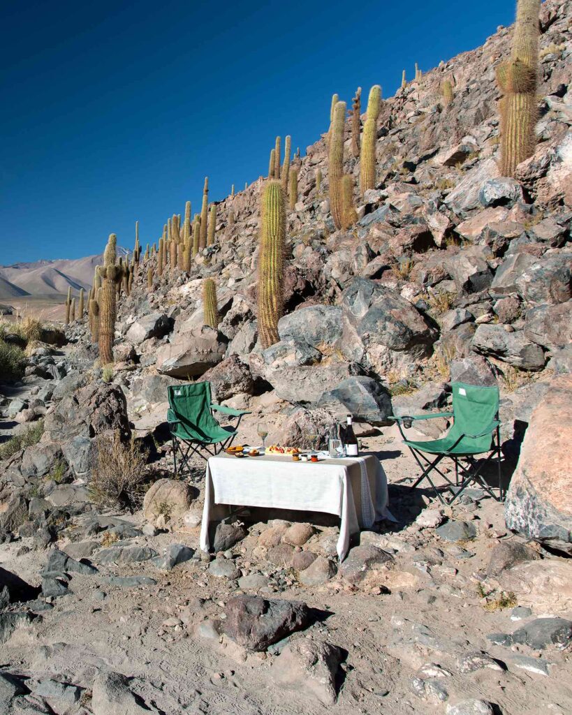 A table is set surrounded by cacti in Northern Chile