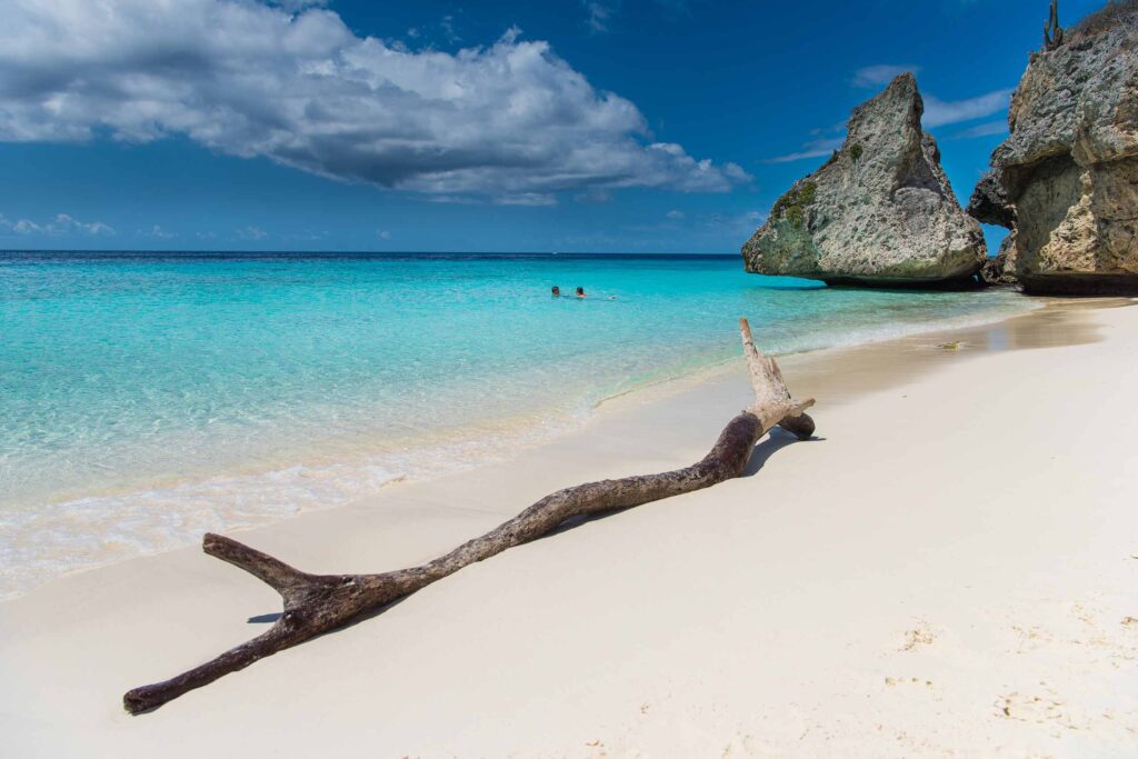 Curacao beach with driftwood