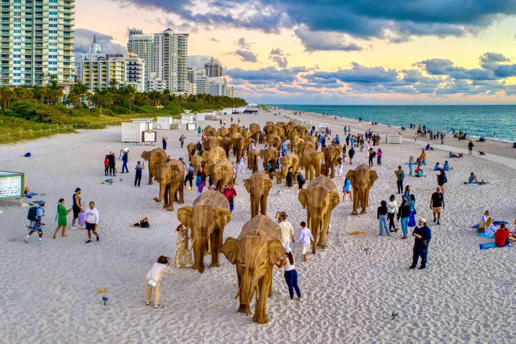An elephant herd carved from wood on a beach in the USA