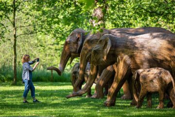 A visitor takes a picture of elephant sculptures, LOVE BRAND Co, The Great Elephant Migration