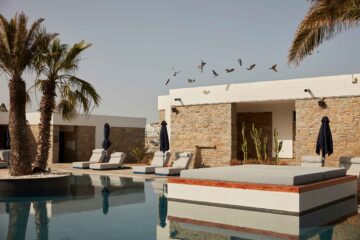 Birds fly over the rocky, mid-century modern walls of Mykonos Theoxenia poolside accommodation